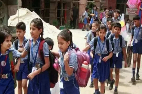 Decision to open school from class 6 to 10 soon, Education Minister Vijay Chaudhary indicated