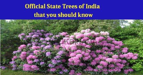 Official State Trees of India that you should know