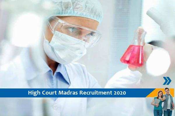 Recruitment of Research Assistant in High Court of Madras