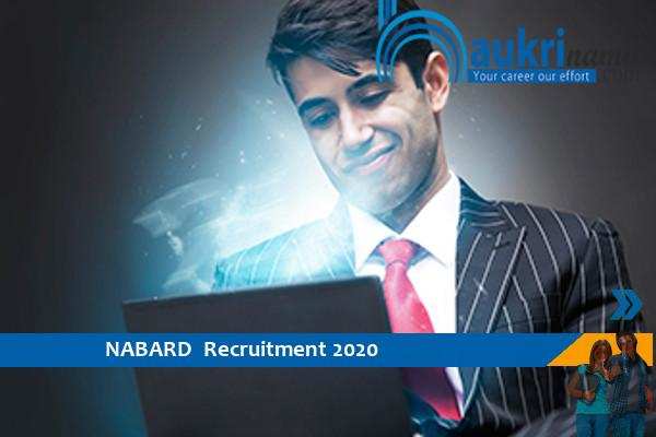 NABARD   Recruitment for the post of   Project and Risk Manager      , Apply Now