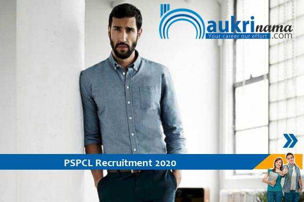 PSPCL Recruitment for the post of   Director    , Apply Now