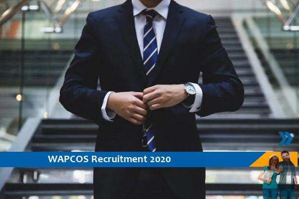 WAPCOS Haryana Recruitment for the Post of Expert