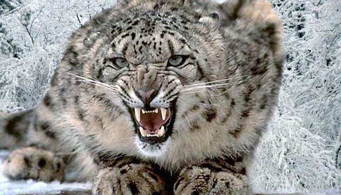 15 Facts about Mighty Himalayas that will Mesmerize you