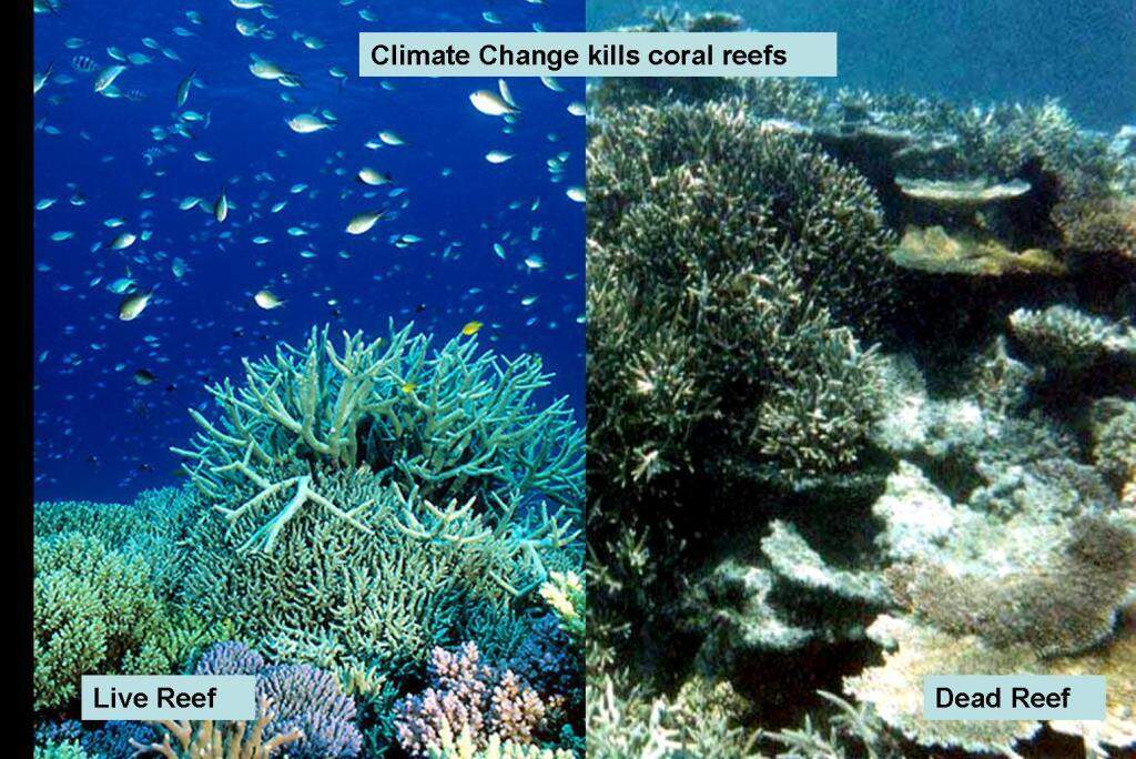 30 Shocking facts about Global Warming in the world