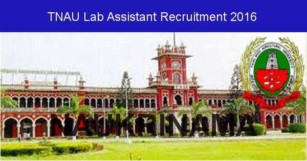 Job Alert: Lab Assistant Vacancies in TNAU-2016