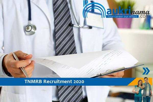 TNMRB  Recruitment for the post of   Assistant Medical Officer   . Apply Now
