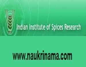 IISR Kerala Apprentice Trainee Recruitment 2016, spices.res.in
