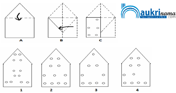 Paper Cutting Questions Quiz 1