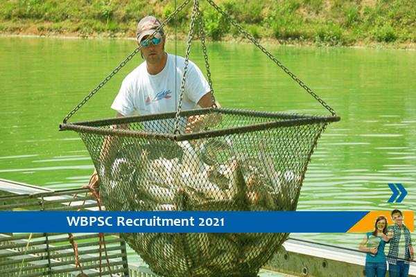 Recruitment to the post of Fisheries Extension Officer in WBPSC