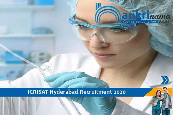 ICRISAT Technical Associate Recruitment 2020