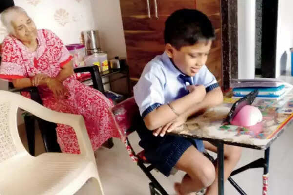 Education session of government schools started in MP, but online education did not start