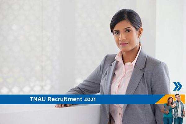 Recruitment to the post of Young Professionals at TNAU