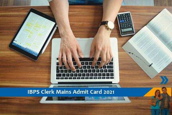 IBPS Admit Card 2021 – Click here for the admit card of Clerk Mains Exam 2021
