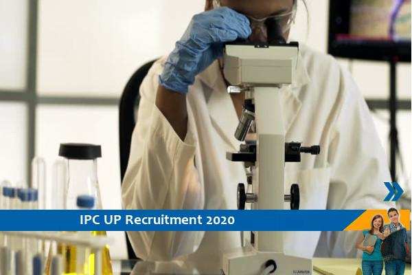 Recruitment for the post of Research Scientist and Associate in IPC, Ghaziabad