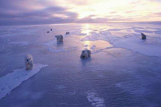 30 Shocking facts about Global Warming in the world