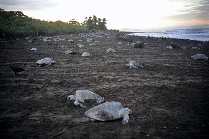30 Shocking facts about Global Warming in the world
