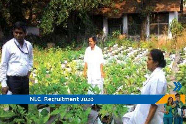 Recruitment to the post of Assistant in NLC