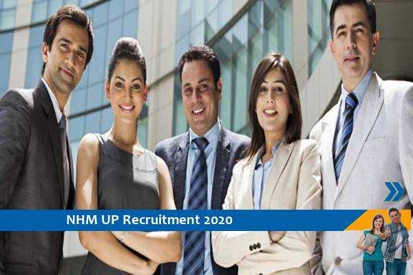 Recruitment to the post of Consultant and Deputy General Manager in NHM UP