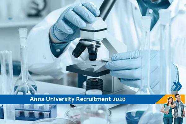 Recruitment for the post Project Associate at Anna University