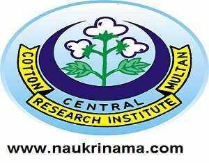 CICR Senior Research Fellow Recruitment 2015
