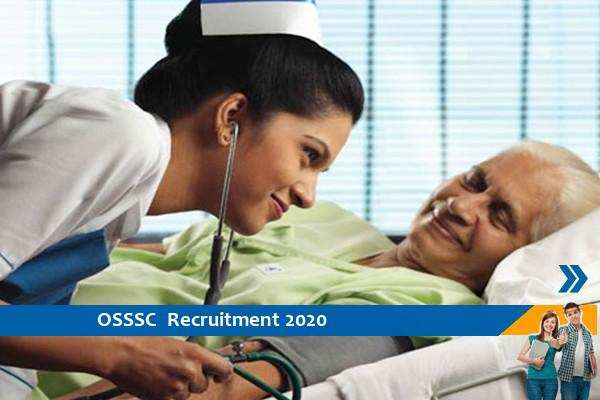OSSSC  recruitment of 6500 posts of Nursing Officer, click here for notification, age limit, salary, education and other information