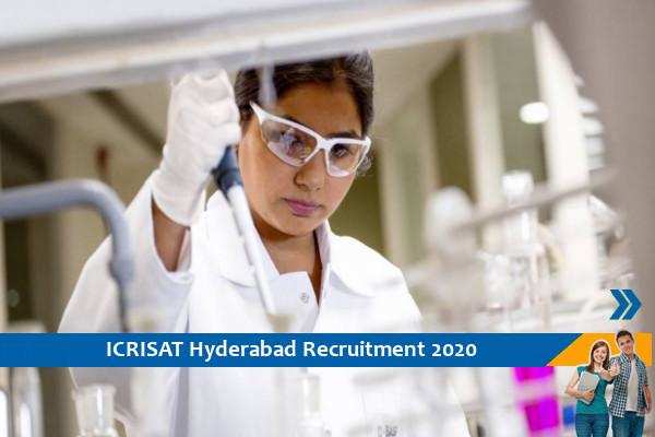 ICRISAT Hyderabad Recruitment for the post of Scientist