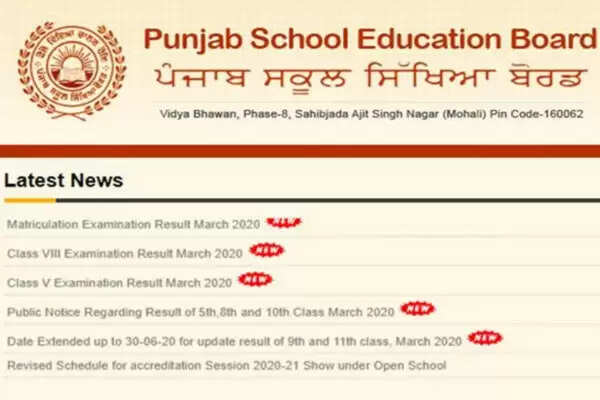 Punjab Education Board releases 8th and 10th results, village students perform better