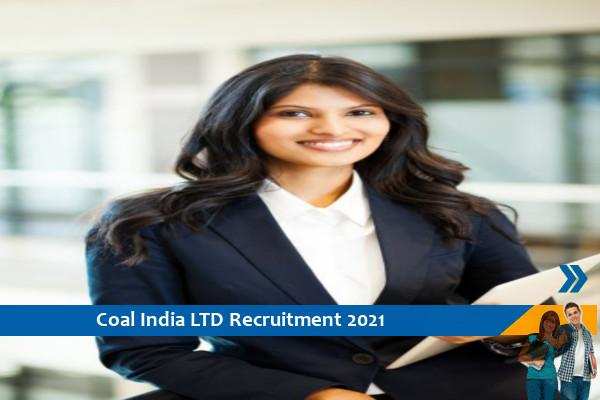 Coal India Ltd, Delhi Recruitment for the post of Director