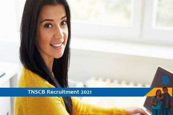 Recruitment of the post of Office Assistant in TNSCB