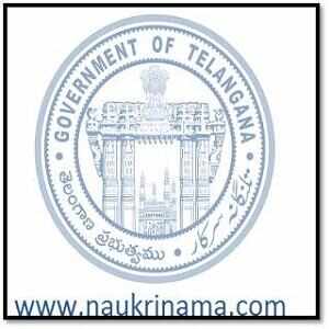 Job Alert – RBSK Telangana Vacancy 2015 – 1330 Various Posts