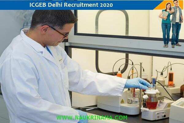Government of Delhi ICGEB Recruitment for the post of Research Associate  , Click here to apply