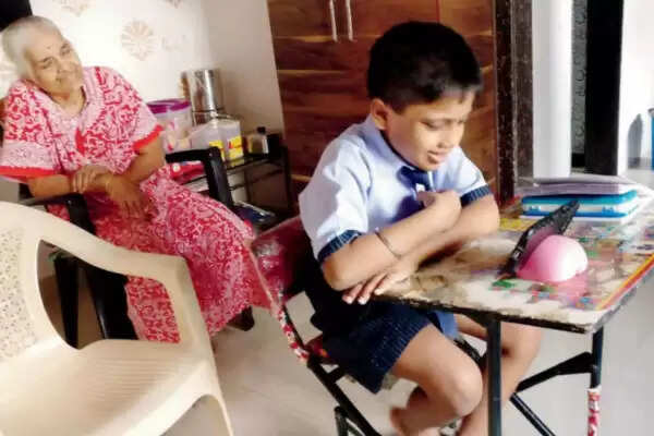 Education session of government schools started in MP, but online education did not start