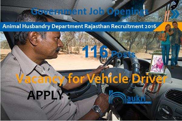 Government of Rajasthan Animal Husbandry Department Jobs 2016- 116 Driver  Posts