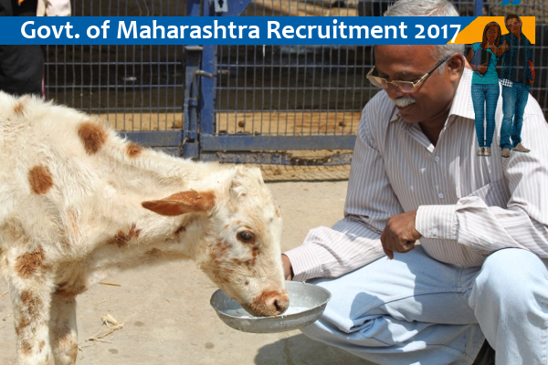 Dept. of Animal Husbandry, Maharashtra Jobs for Livestock Supervisor and Others Dept. of Animal Husbandry, Maharashtra Jobs for Livestock Supervisor and Others