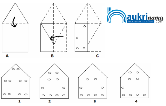 Paper Cutting Questions Quiz 1