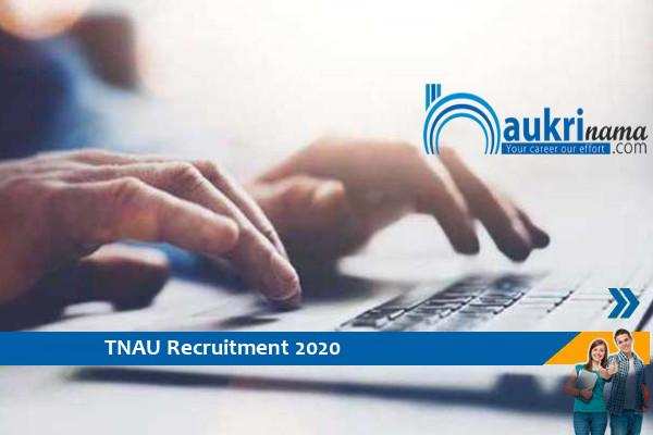 TNAU  Recruitment for the post of  Field Assistant  , Click here to Apply