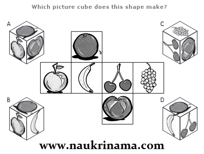 Puzzle Questions – Logic Puzzles
