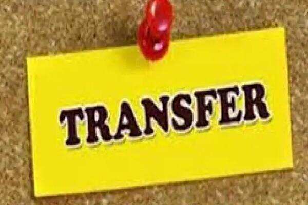Transfer session: every teacher and staff profile will be updated, know how to transfer