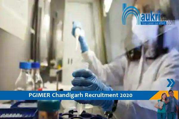 PGIMER Chandigarh  Recruitment for the post of  Scientist  , Apply soon