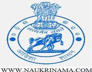 NHM Odisha Recruitment 2016 for Staff Nurse and ANM, ordistricts.nic.in