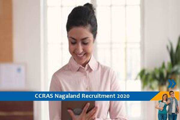 Recruitment for the post of Program Assistant in CCRAS Nagaland