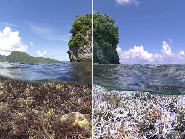 30 Shocking facts about Global Warming in the world