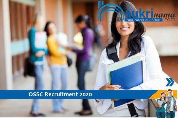 OSSC   Recruitment for the post of  field assistant    , Apply Now