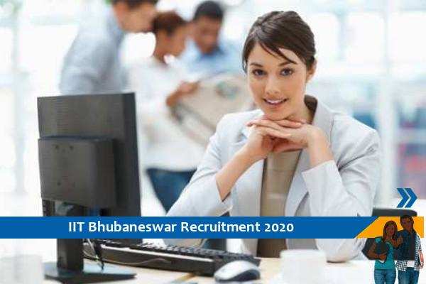 Recruitment for Senior Project Associate, IIT Bhubaneswar