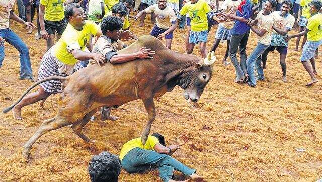 15 Most weird Rituals followed in India that will Blow Your Mind