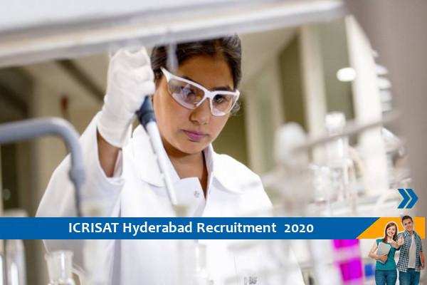 Apply for the post of Associate Scientist in ICRISAT Hyderabad