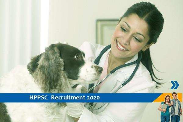 HPPSC Recruitment for the post of Veterinary Officer