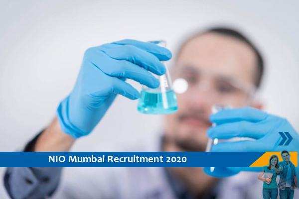 NIO Mumbai Recruitment as Project Associate