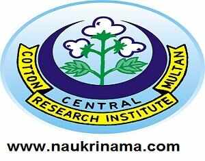 CICR Senior Research Fellow Recruitment 2015