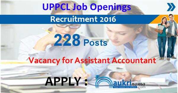 Job Alert- Assistant Accountant and others 228 posts in UPPCL Openings 2016